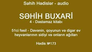 Səhih Buxari - Hədis 173 - Dəvənin sidiyi və südü məsələsi