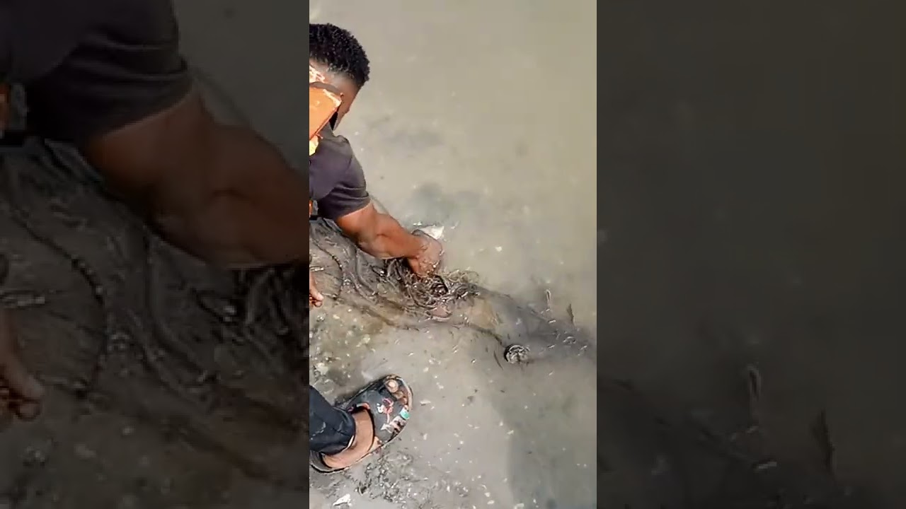 Eastern Obolo Sterling exploration site