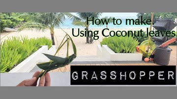 Coconut Leaves Ep.2 - How to make Grasshopper.