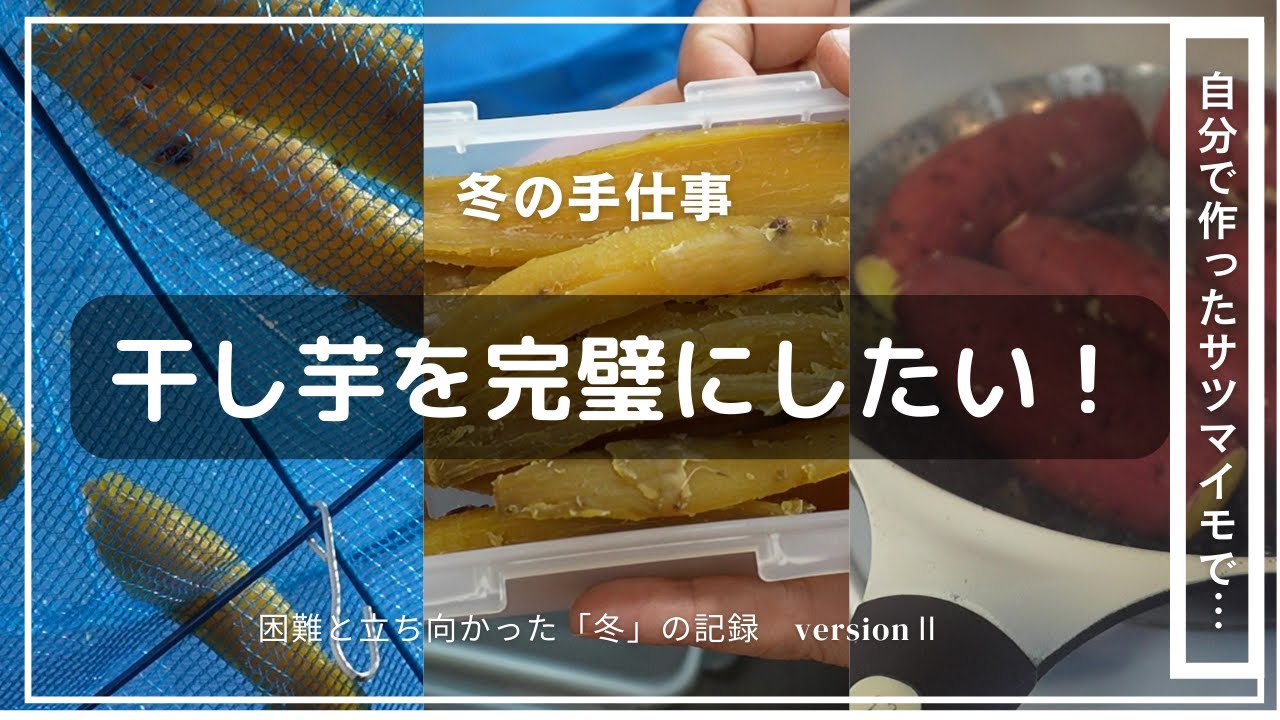 【これが最後のあがき！自分で作ったサツマイモで干し芋を作る！】最後のもう一度やってみた！どうしても諦めきれない私の冬の記録。干し芋の上手な作り方も紹介します。ずっと悩んでいた事が解決します！