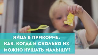 Яйца в прикорме: как, когда и сколько их можно кушать малышу?