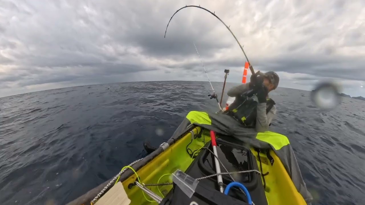 20260221　サワラ145　スローピッチ