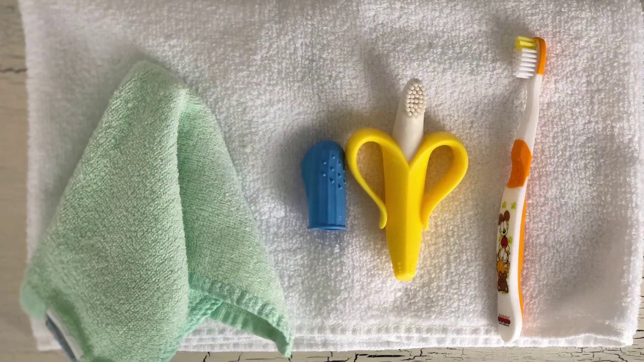 Baby Gum and Teeth Brushing 101 (Infants & Toddlers) YouTube