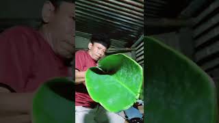 trik sulap #sulapversibali #sulapkeren #Sulapplesetan #funny