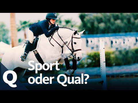 Skandale, Doping und Quälerei: Das läuft falsch beim Springreiten | Quarks