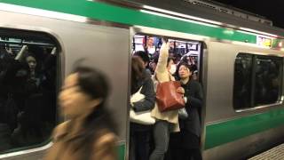 The Tokyo Subway Crowd