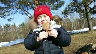 Шашлык в лесу и наша собака породы Пекинес Шашлык в лесу и наша собака породы Пекинес