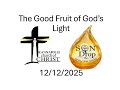 The Good Fruit of God's LIght - SonDrop - 12/12/2025 - Kirk Sams - #KcoCSonDrop