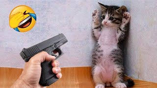 Try Not To Laugh 😂 Funniest Cats and Dogs Videos 😹🐶 Part 3