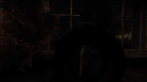 S T A L K E R   Call of Pripyat with gunslinger mod