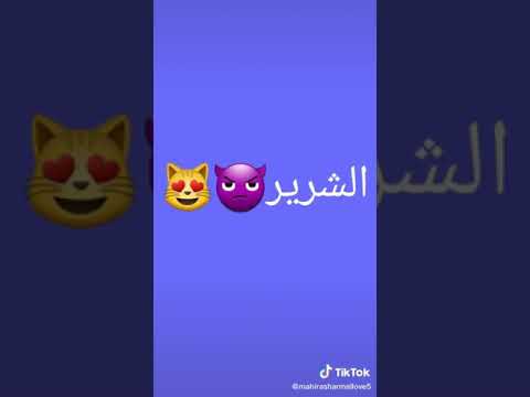 المحترم نحترمو ولي يقلط اشرب دمو