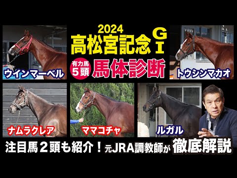 【高松宮記念2024】中村均元調教師が馬体診断　有力馬５頭を徹底解説　名手が騎乗するあの馬に注目！《東スポ競馬ニュース》