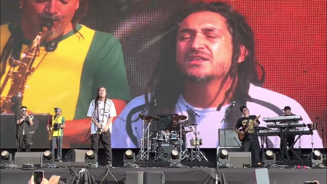 Gondwana- sentimiento original Tecate comuna 2022 Gondwana- sentimiento original Tecate comuna 2022
