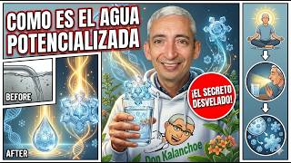 COMO ES EL AGUA POTENCIALIZADA ⭐ MASTER K 3920 💖
