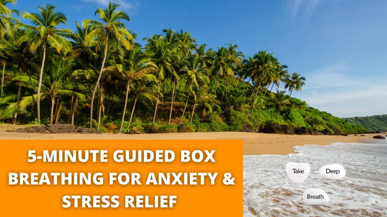 5-Minute Guided Box Breathing for Anxiety & Stress Relief (4-4-4-4 ...