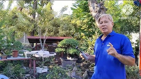 Navigation system error of your DJI drone? The solution is here