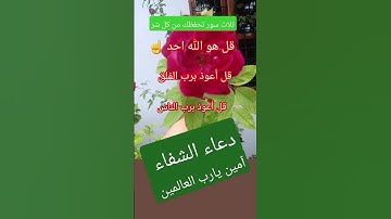 ثلاث مرات ختم القرآن آخری سورة الإخلاص- الفلق- الناس♥️🤲📖#دعاء#اكسبلور#qurantilawat#تيك_ توك #الشفاء
