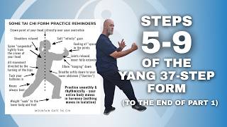 Steps 5 To 9 of the Yang 37 Tai Chi Form