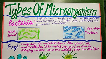 Types of microorganisms chart #science #chart #project #viral #youtube