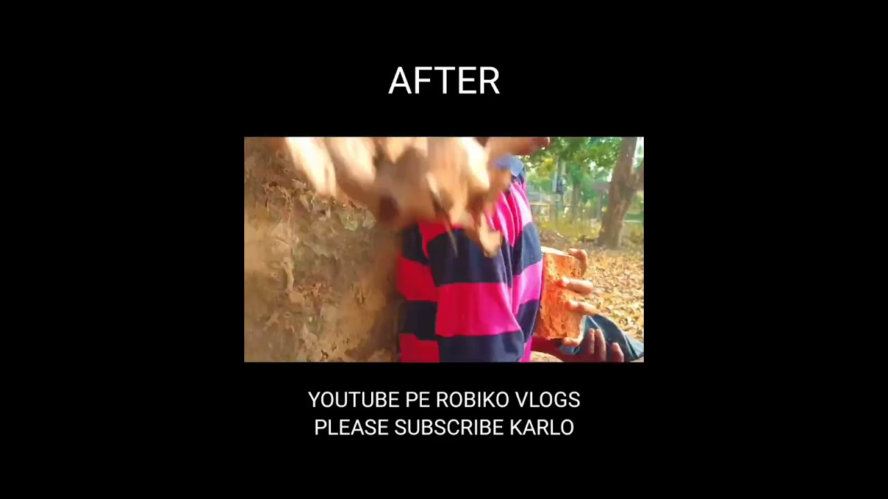 Before and After ✅ 