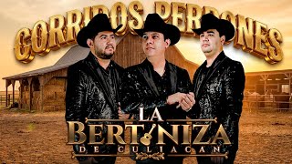 🎶 Mix 2026 🎶 La Bertiniza de Culiacán | Corridos Exitosos y Perrones