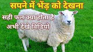 Seeing a sheep in a dream. Seeing a baby lamb. Seeing a sheep in a dream. Meaning of seeing a sheep