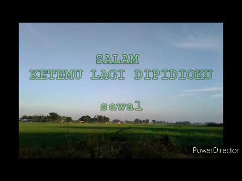 Sawah hijau 