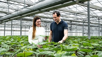 "De sierteeltsector toont zich keer op keer innovatief" - Edwin, VDE Plant