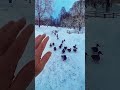 #advanturelıfe 🦆🎼🦆#naturelovers 🦆❤️💯