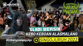 Gladi Bersih Kebo Keboan Alasmalang Singojuruh 28 Juli 2023