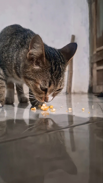 TEKAN TOMBOL LIKE JIKA LAGU INI ENAK