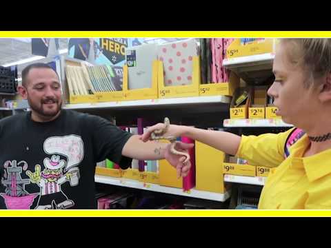DANGER NOODLE! - DANGER NOODLE!