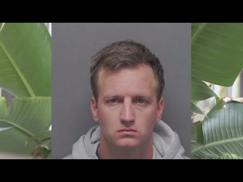 Police arrest alleged burglar caught on camera trying to break into ...