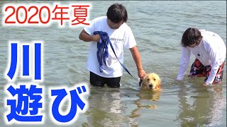 【初公開】レトリバーまるくん、初めての犬かき！！