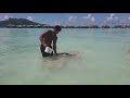 Feeding Sting Rays at Bora Bora Intercontinental Thalasso &amp; Spa