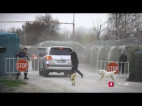 ტატუნაშვილის ცხედრის ექსპერტიზა