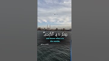 تلاوة_خاشعة_صوت_يدخل_قلب