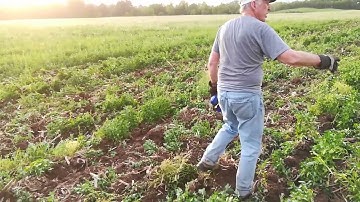 Dad chisel plowing with the 4020 VID 20220614 200455