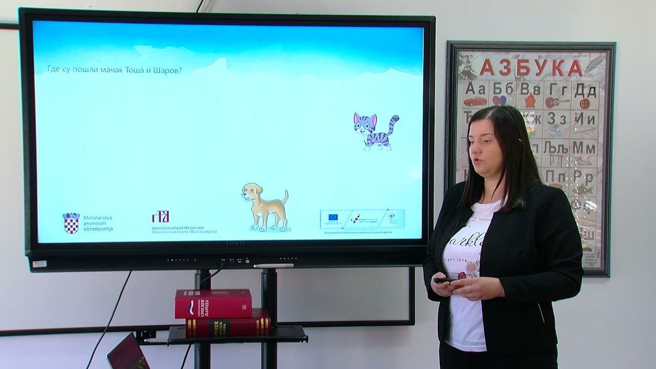 Srpski jezik i književnost 3. razred OŠ - Branko Ćopić, „Doživljaji mačka Toše“