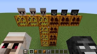 what if you create a PUMPKIN WITHER GOLEM in MINECRAFT #353