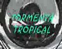 TORMENTA TROPICAL - CARIITO