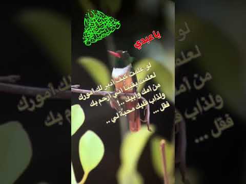 يا عبدي لو علمت كيف أدبر لك أمورك
