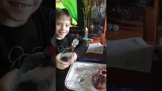 Moshe 6 Happy Birthday - Our Volcano