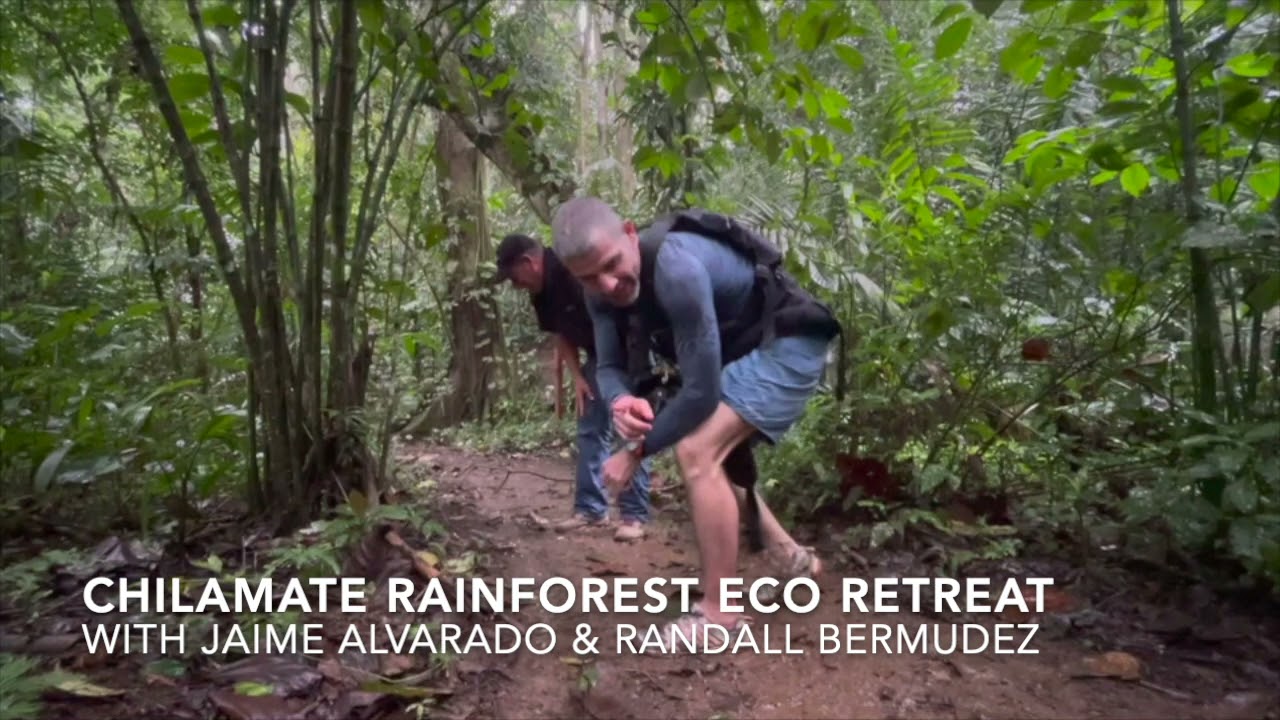 In Chilamate Rainforest with Jaime Alvarado