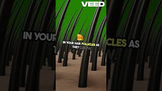 Uncovering Secrets  Hair Follicle Drug Testing!