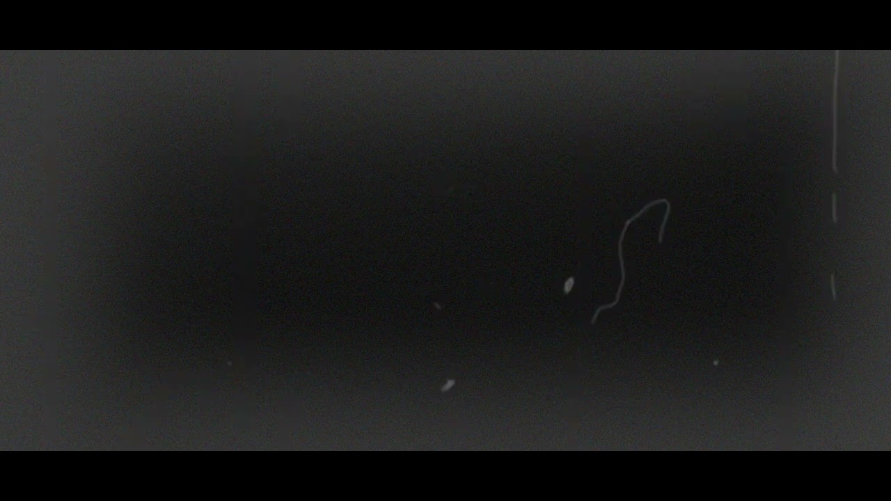 "Contract Report" (English Version) The Fragmented Shadows A.r.g