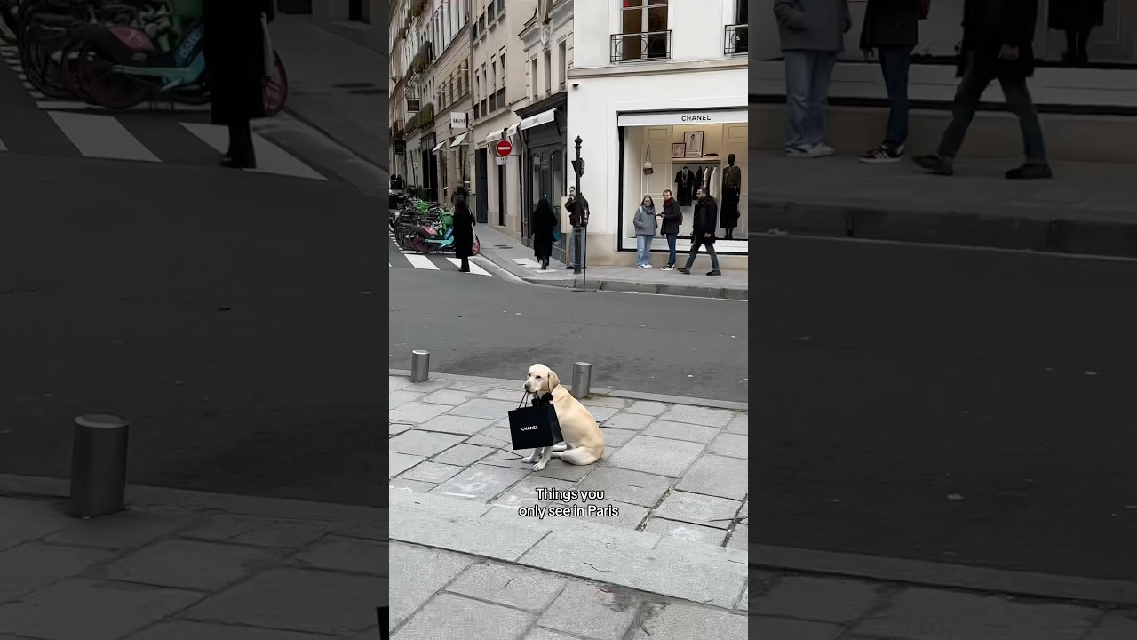 👀 Things you only see in Paris 