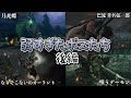 【俺は結局何もできなかった】フロムゲーの弱すぎたボスたち 後編【ゆっくり解説】