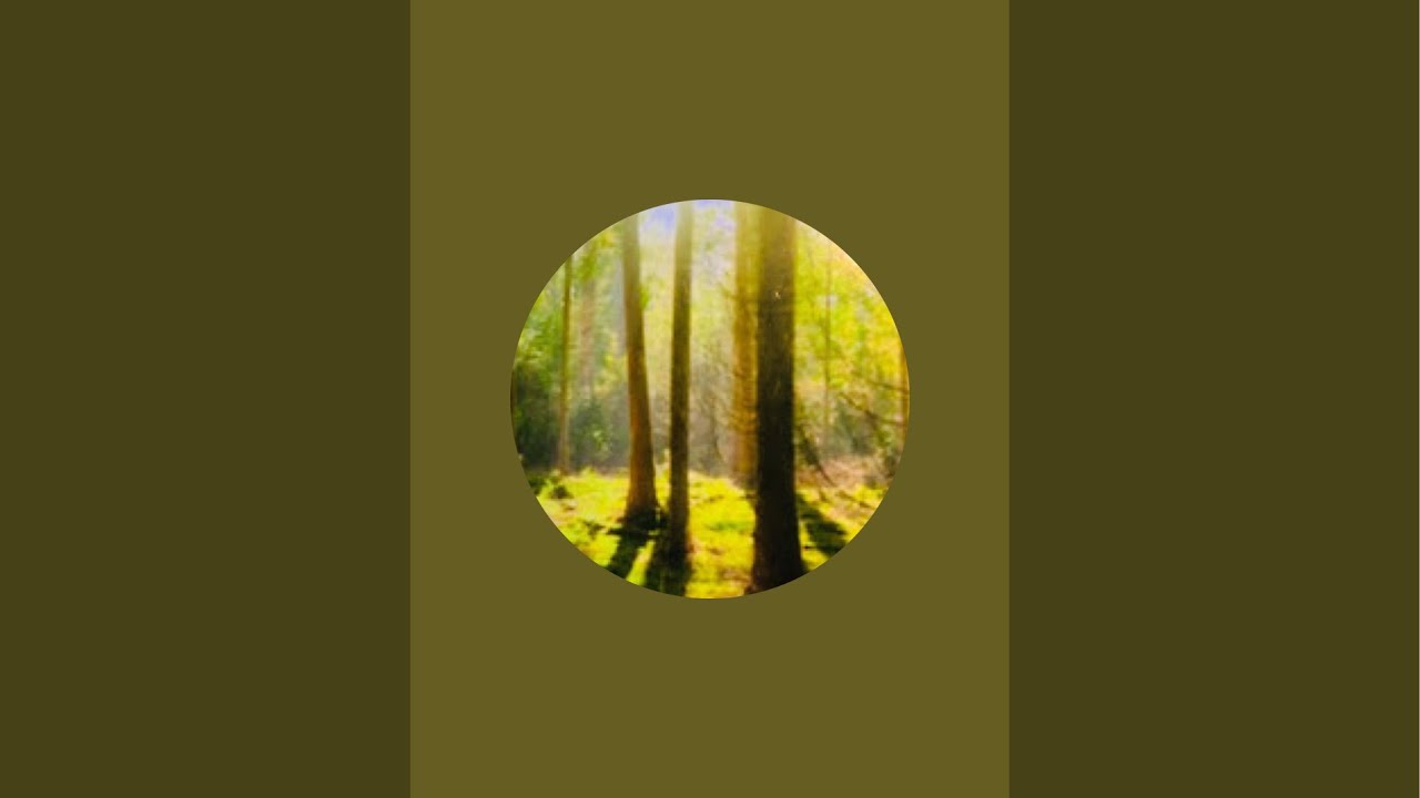 Bible study on psalms 54 at 7:30pm to 8:30pm pst🙏 ️ Accept Jesus🙏 ️ ...