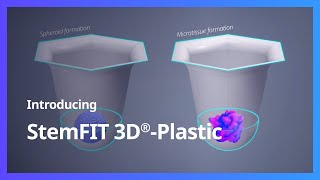 Perfect 3D cell cultures with StemFIT 3D® round-bottom microwells
